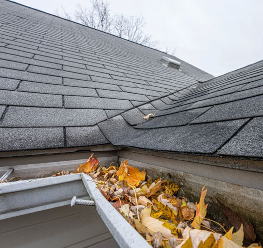 Gros plan sur un toit de maison avec des bardeaux gris et une gouttière obstruée par des feuilles mortes, des branches et des débris — un excellent candidat pour une mise au point de toiture à Ottawa. Le ciel est couvert et des arbres sans feuilles sont visibles en arrière-plan.